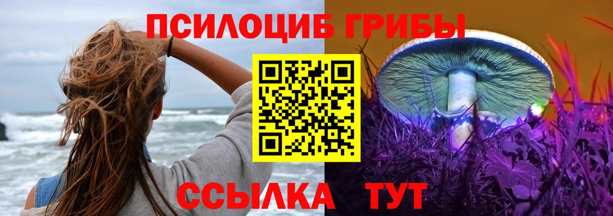 Галлюциногенные грибы Psilocybine cubensis  где продают   Воркута  Вход с VPN 